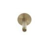 BRACCIO-DOCCIA-SOFFITTO-LEVANTE-CORTO-ORO BRACCIO DOCCIA SOFFITTO LEVANTE CORTO ORO 8 100x100