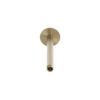 BRACCIO-DOCCIA-SOFFITTO-LEVANTE-LUNGO-ORO BRACCIO DOCCIA SOFFITTO LEVANTE LUNGO ORO 8 100x100