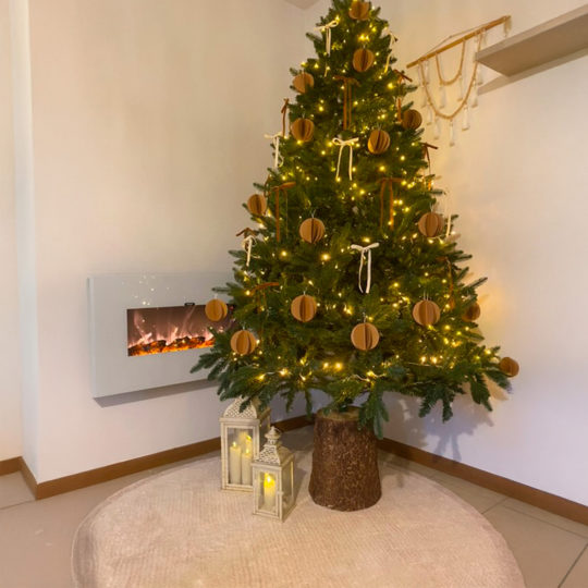 CAMINETTO-PARETE-MONTE-BIANCO