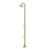 DOCCIA-INOX-LUNA-DOPPIO-TMP-ORO DOCCIA INOX LUNA DOPPIO TMP ORO 4 100x100